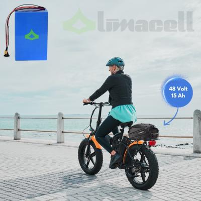 48 Volt 15 Ah LiFePO4 Elektrikli Bisiklet Yedek Batarya