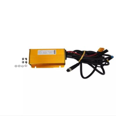 APE RYDER GIBBON BEYİN 13 A