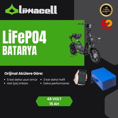 Volta VSM 48 Volt 15Ah LiFePO4 Batarya